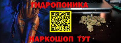 сатива Усть-Илимск